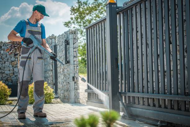 Best Spring Cleaning  in Cortland, NY