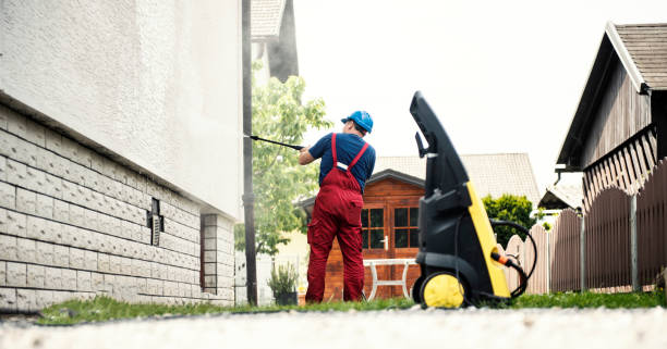 Best Roof Washing  in Cortland, NY